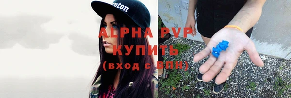 тгк Беломорск