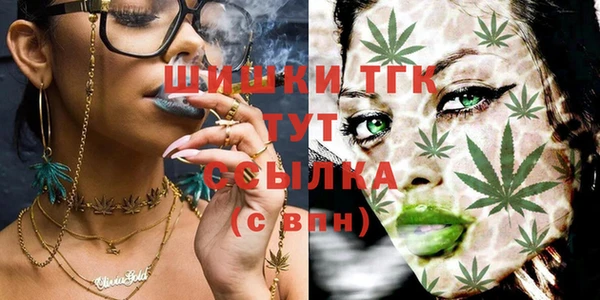 дживик Белокуриха